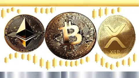 初学者的加密货币投资和交易要点