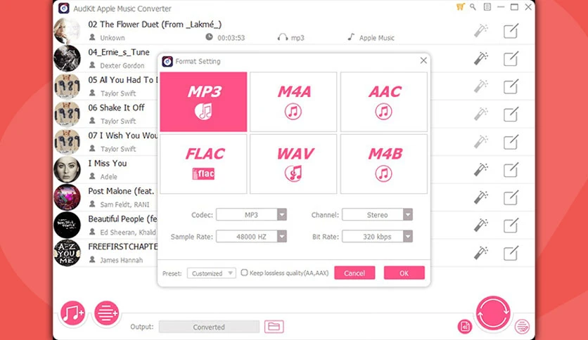 65e8190b919db-apple-music-converter-by-audkit-screenshot2