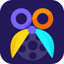 Aiseesoft Video Editor 1.0.30