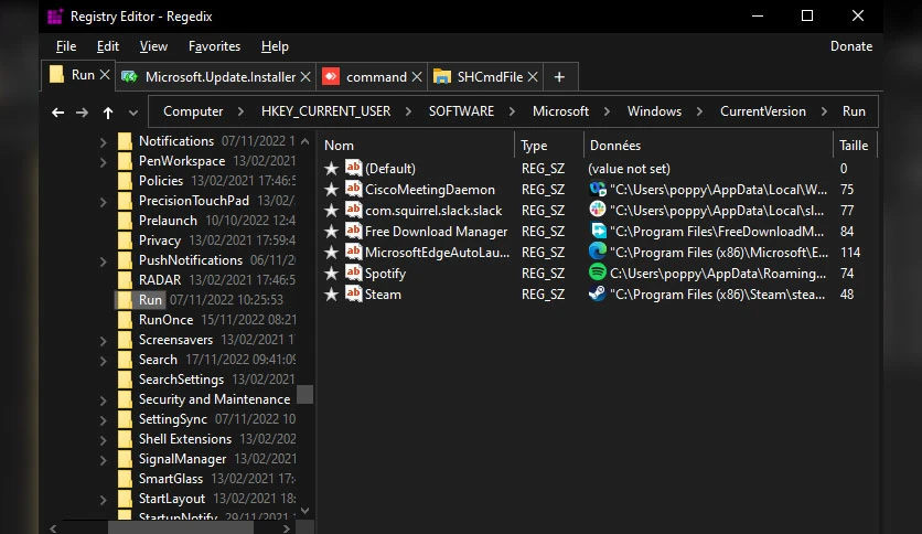 66122f1303bc0-regedix-FeatureImage