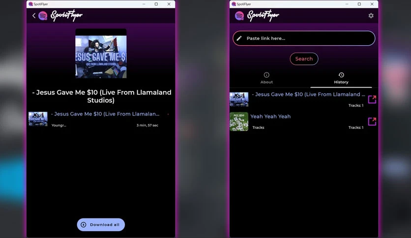 6656d2f1846d9-shabinder-spotiflyer-screenshot1