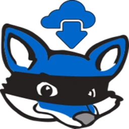 RedFox AnyStream Plus 1.5.2.3