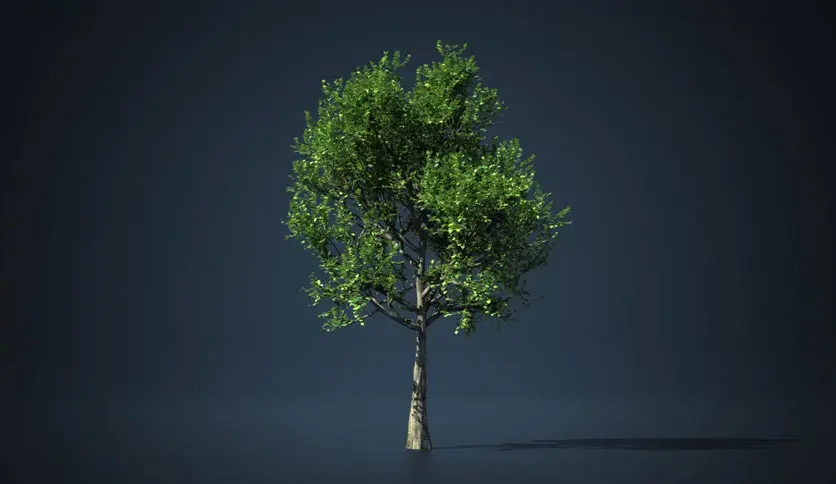 6a6853f8cac48-simple-tree-tools-for-houdini-screenshot1