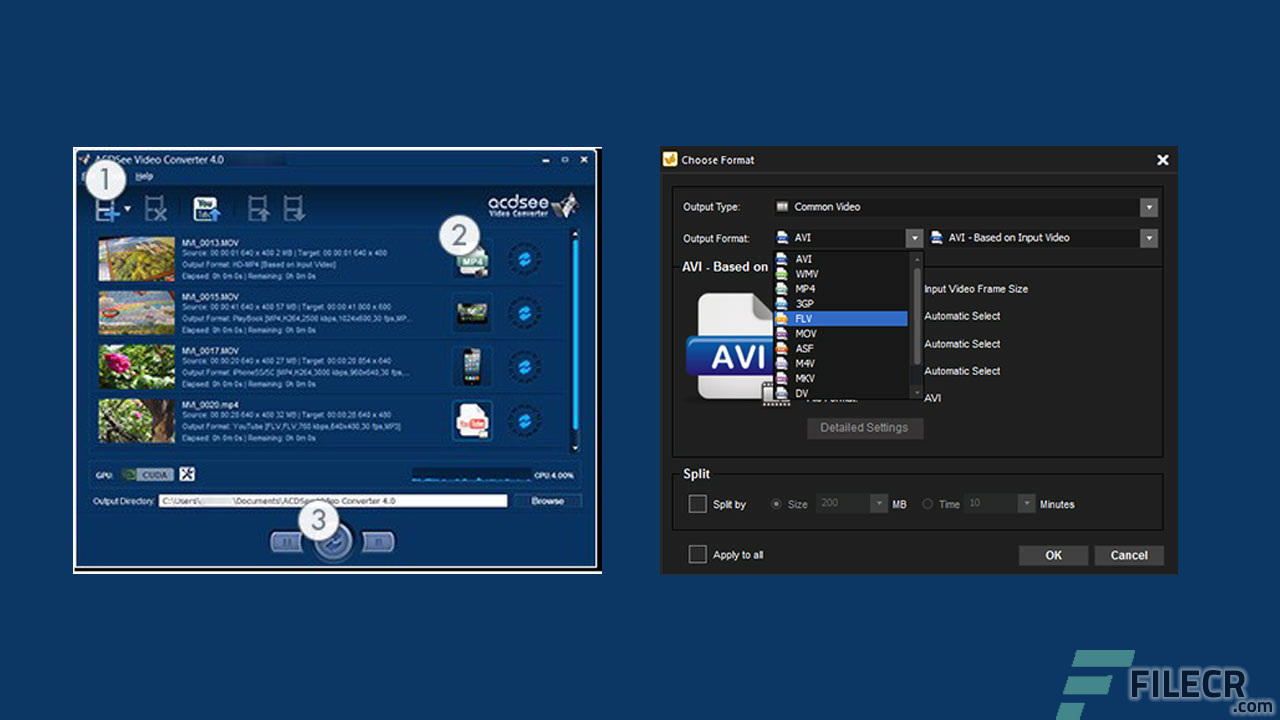 Scr3_ACDSee-Video-Converter-Pro_free-download