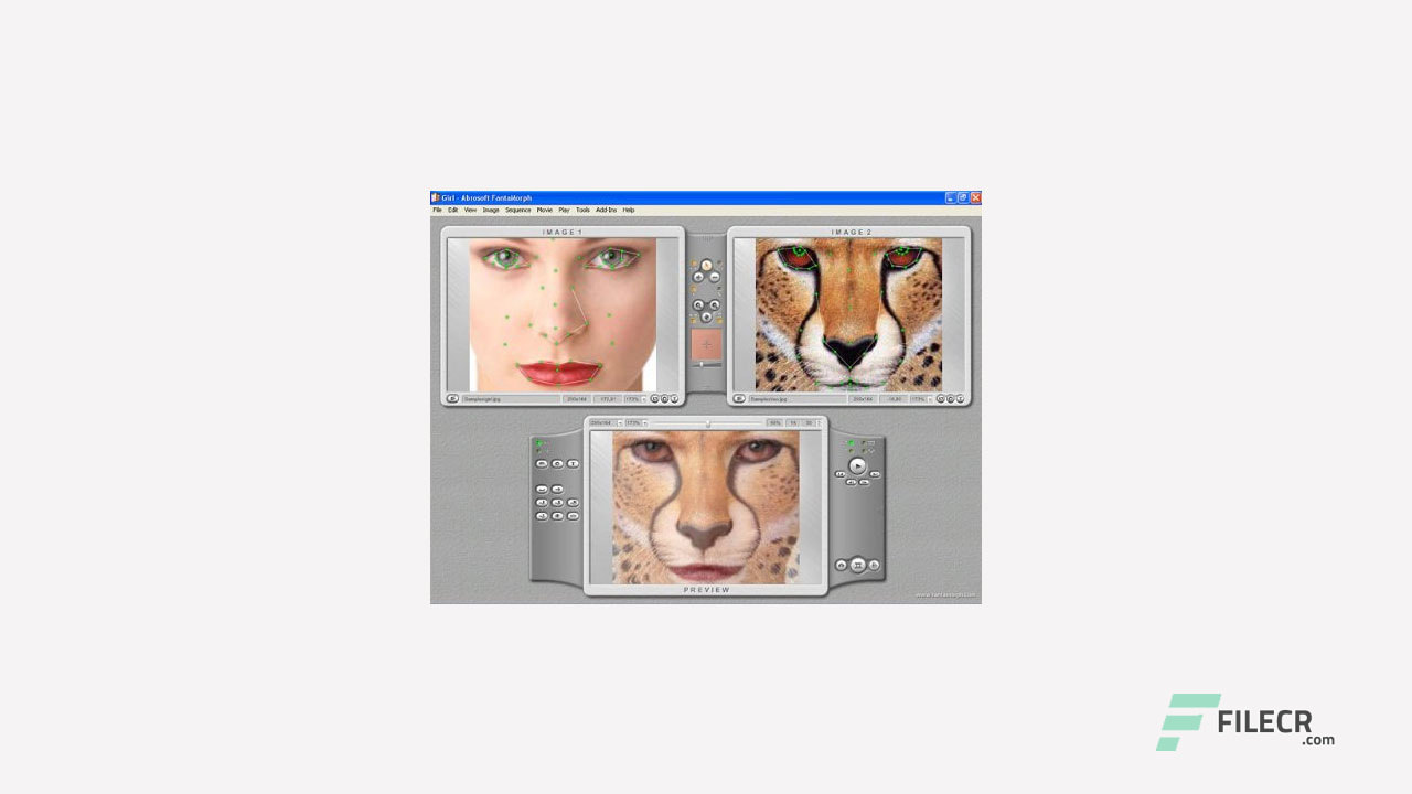 Scr2_Abrosoft-FantaMorph-Deluxe_free-download