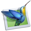 PicturesToExe Deluxe 9.0.22