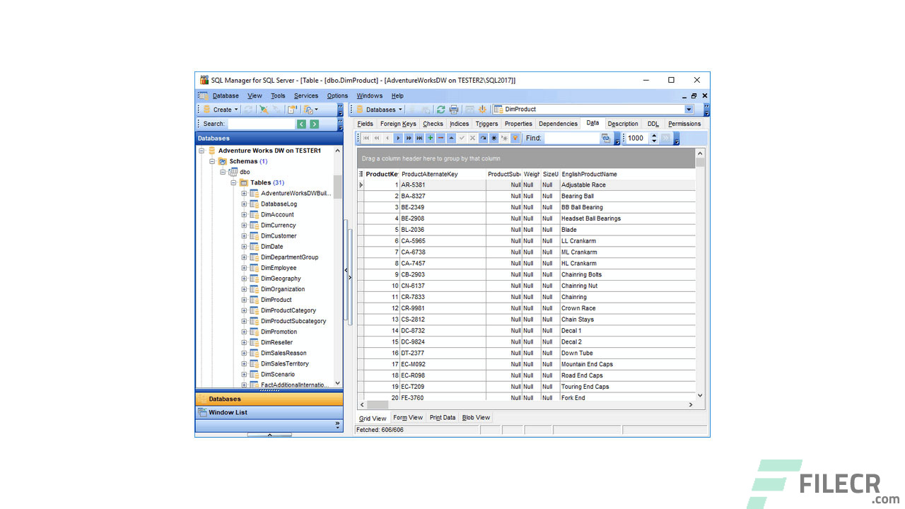 Scr1_EMS-SQL-Manager-for-SQL-Server_free-download