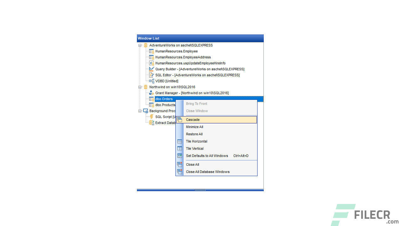 Scr6_EMS-SQL-Manager-for-SQL-Server_free-download