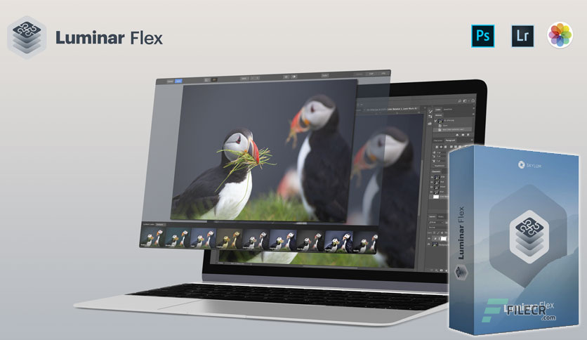 Luminar-Flex-Free-Download