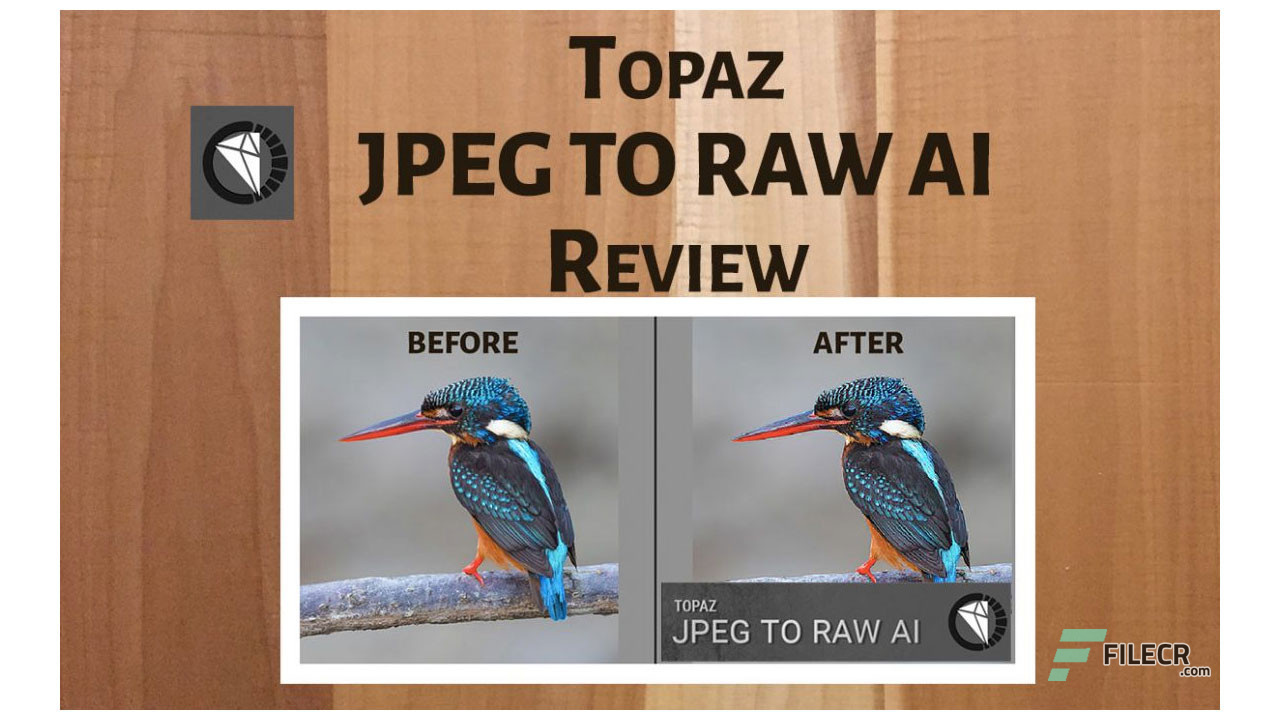 Scr1_Topaz-JPEG-to-RAW_free-download