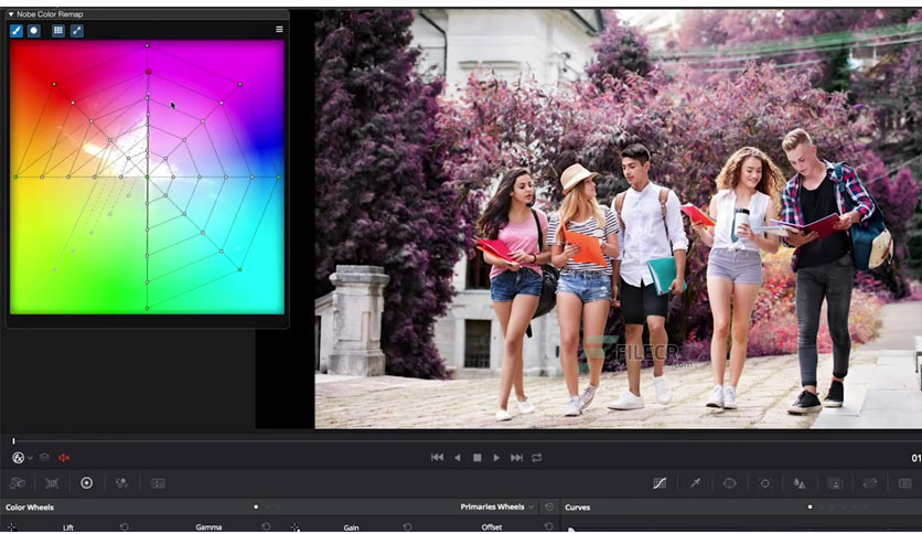 Timeinpixels-Plug-ins-Bundle-Free-Download