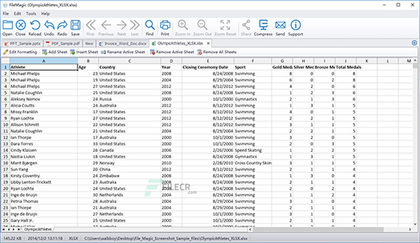 File-Magic-Gold-Edition-Free-Download-05