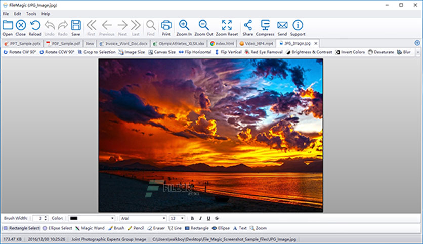 File-Magic-Gold-Edition-Free-Download-07