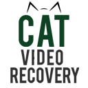 CAT Video Repair 1.0.0.2