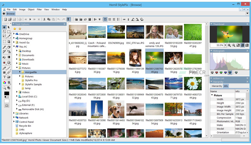 hornil-stylepix-free-download-02