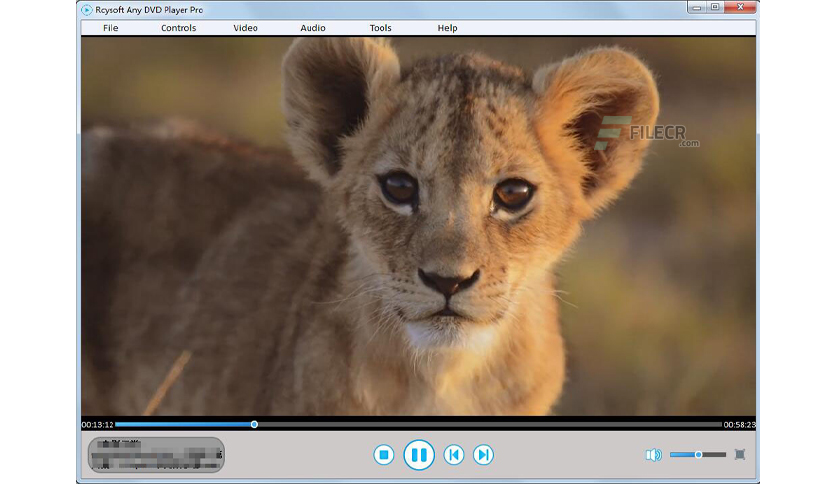 rcysoft-any-dvd-player-pro-free-download-02