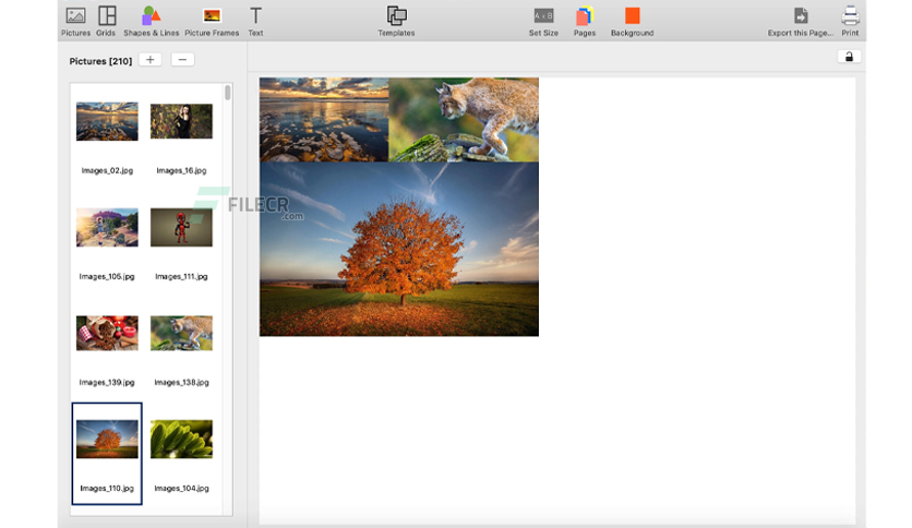 ezee-graphic-designer-free-download-01