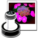 Neonway WhatAMark 1.4