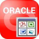 Withdata OraLobEditor 4.6 Release 1 Build 200630