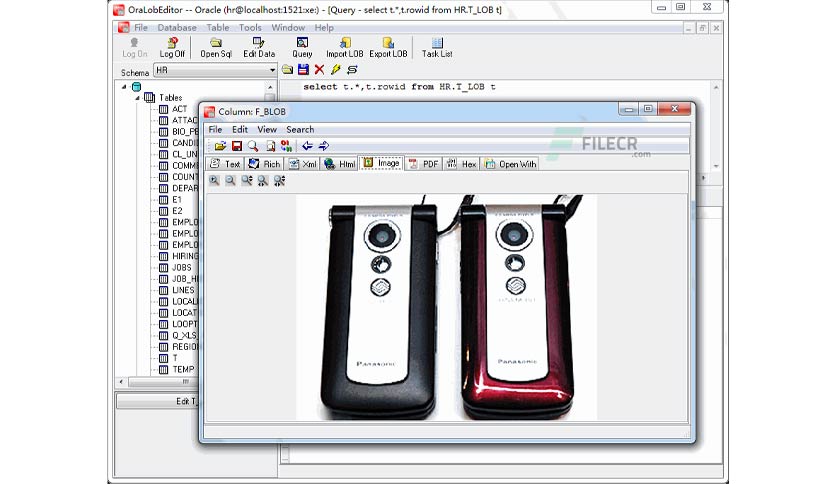 withdata-oralobeditor-free-download-01