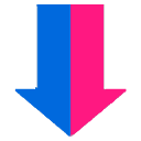 Saleen Web Downloader 1.0.0.668