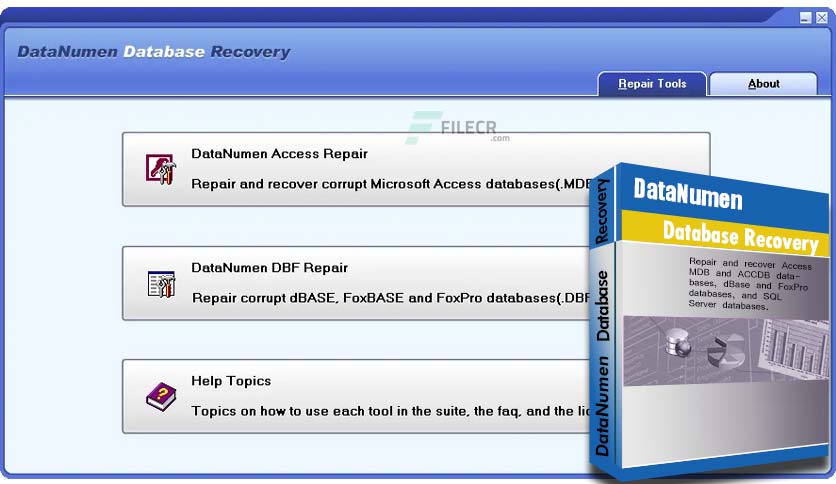 datanumen-database-recovery-free-download-01