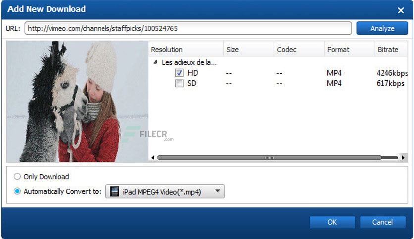 anymp4-video-downloader-free-download-02