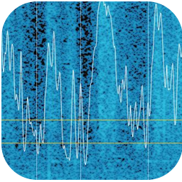 LeSound AudioTexture 1.3.1