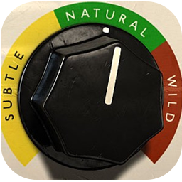 Softube Acoustic Feedback 2.5.9
