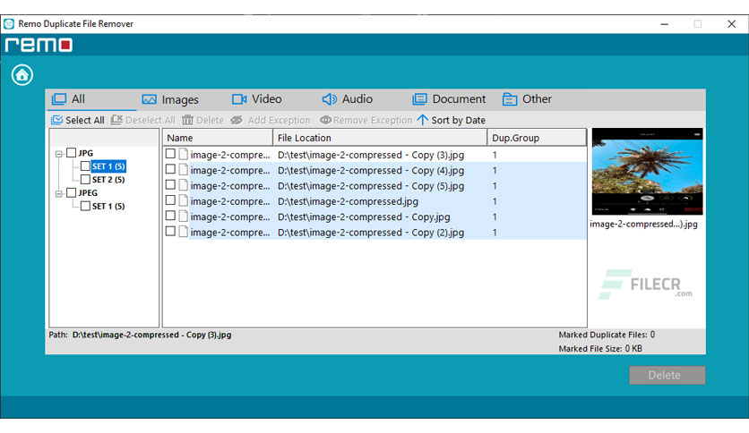 remo-duplicate-file-remover-free-download-02