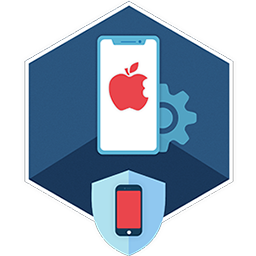 ElcomSoft iOS Forensic Toolkit 7.0.313