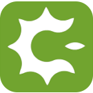 WINSOFT DAO Database Collection 5.6 for D10.2