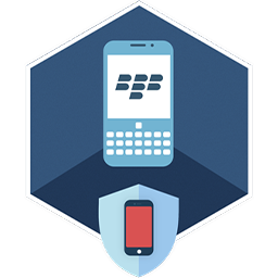 ElcomSoft Blackberry Backup Explorer Professional 10.02
