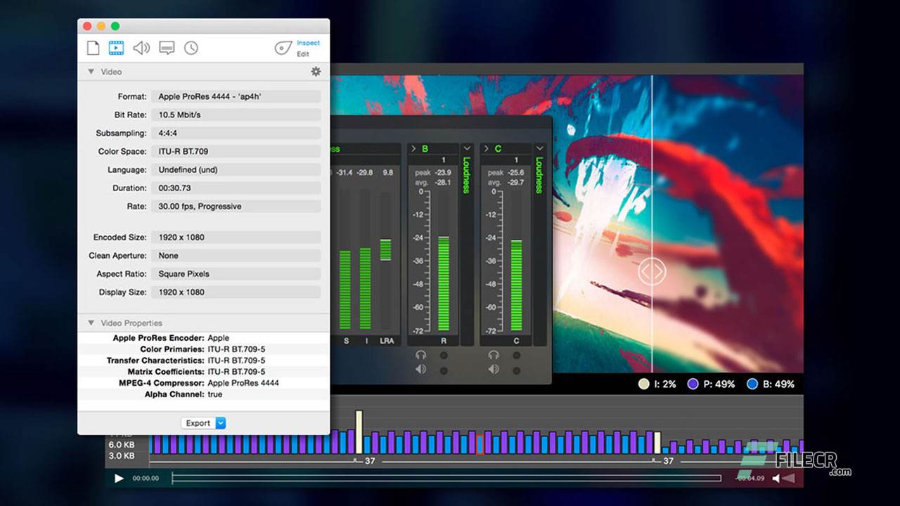 Scr2_Telestream-Switch-Pro-4.5_Free-Download