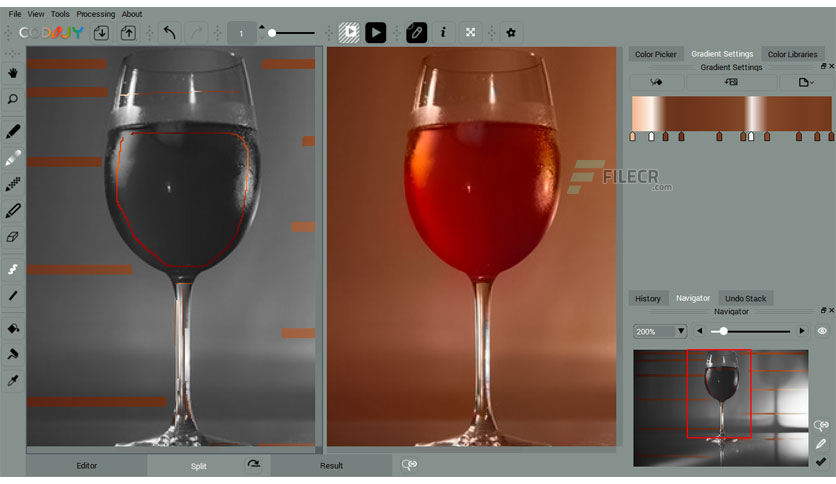 codijy-colorizer-free-download-02