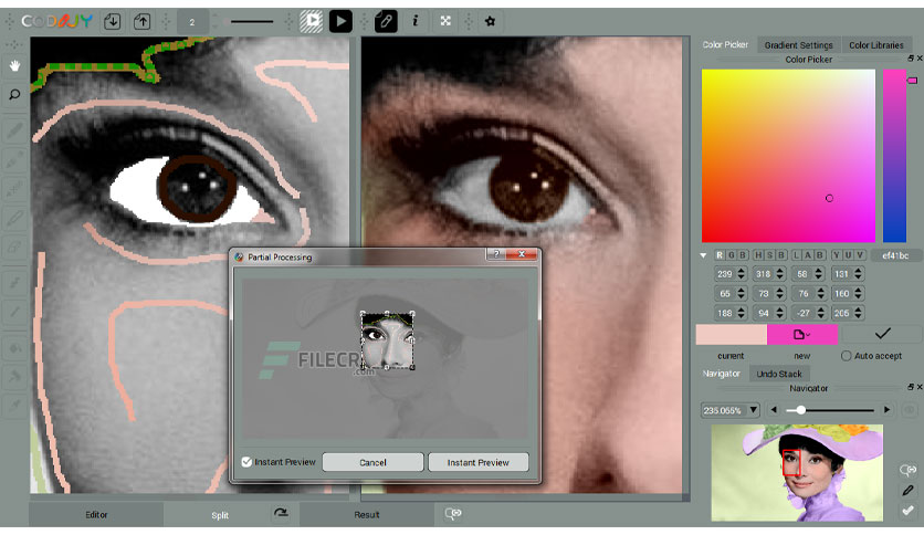 codijy-colorizer-free-download-03