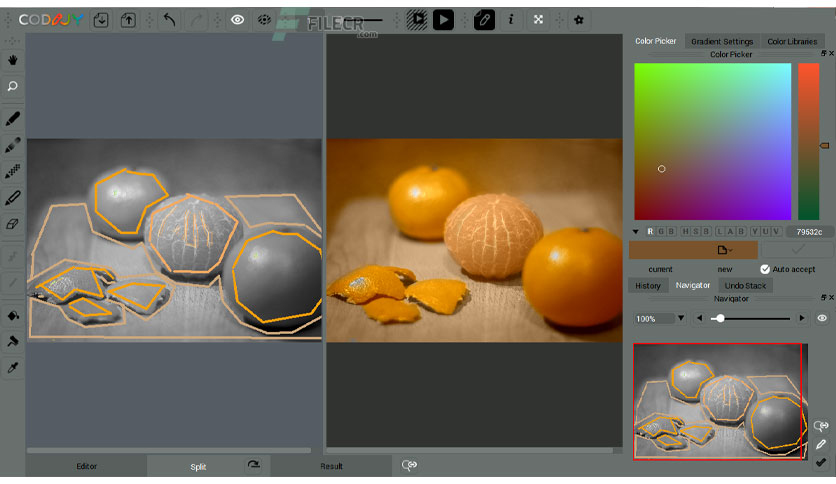 codijy-colorizer-free-download-04