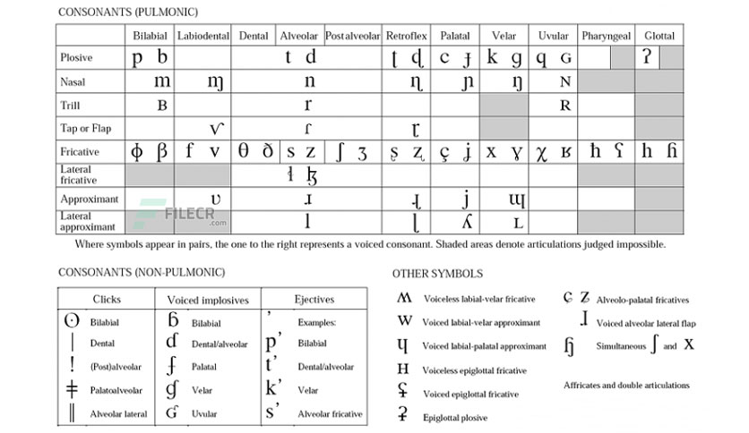 typeit-extended-free-download-01