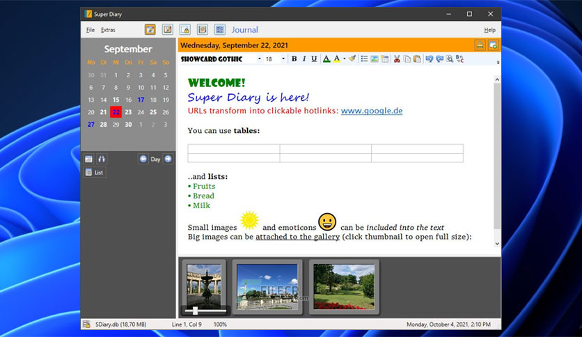 super-diary-free-download-01