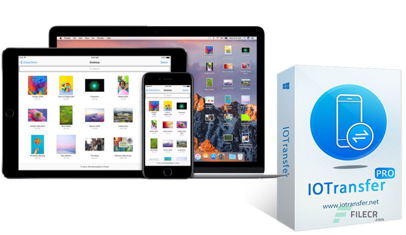IOTransfer-Pro-4-Free-Download