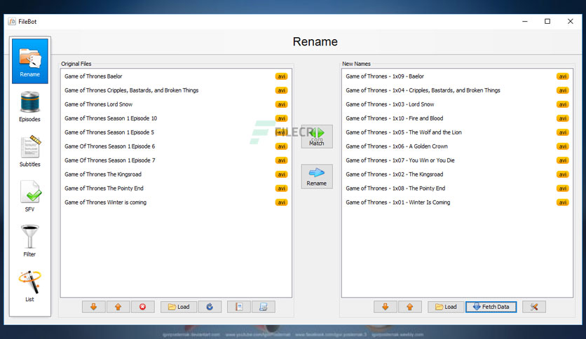filebot-elite-free-download-01