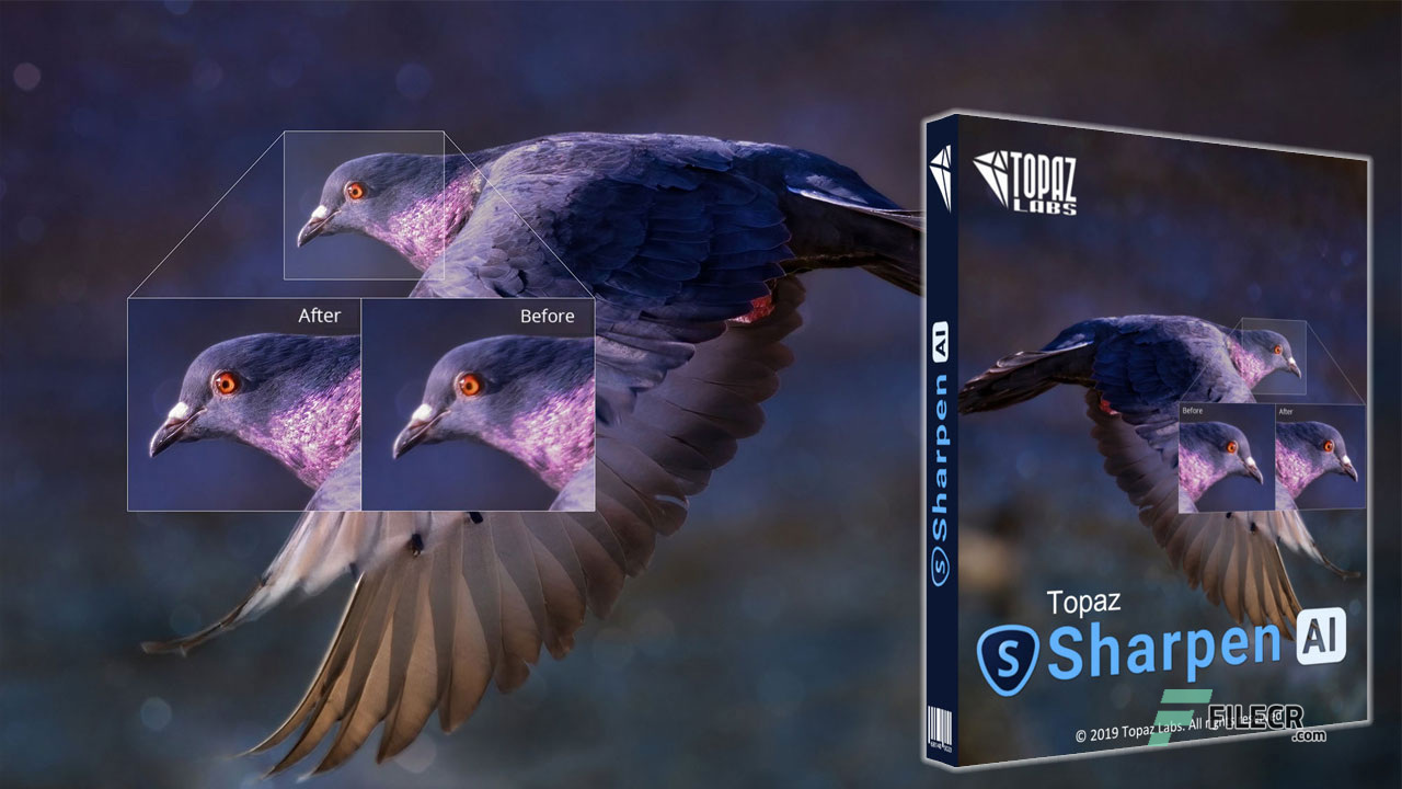 Topaz-Sharpen-AI-Free-Download-Full-Version