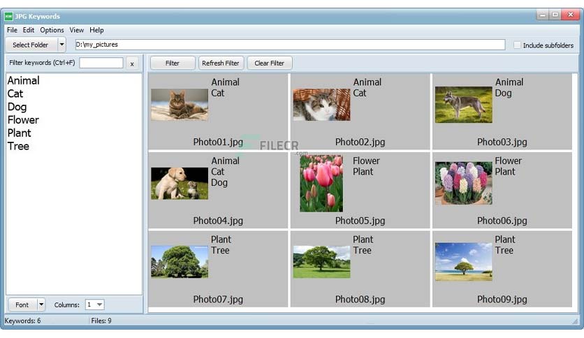 eedsoft-jpg-keywords-free-download-01