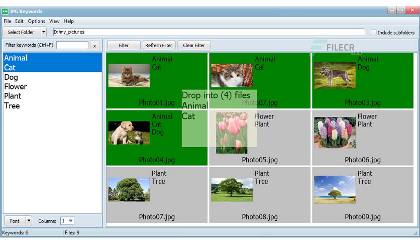 eedsoft-jpg-keywords-free-download-02
