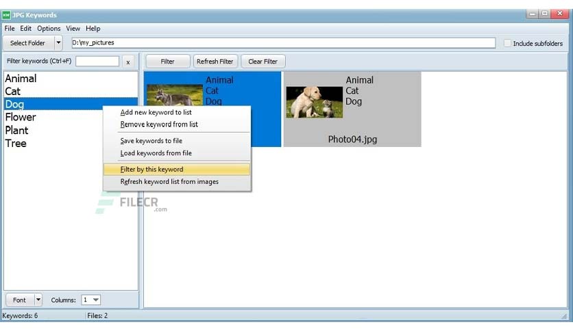 eedsoft-jpg-keywords-free-download-03