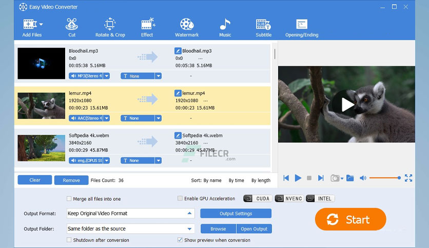 easy-video-converter-free-download-01