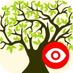Family Tree Explorer Standard 10.0.0