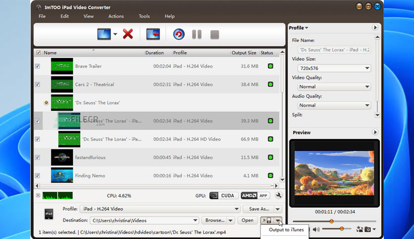 imtoo-ipad-video-converter-logo.free-download-03