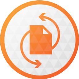 Paragon Partition Manager 17.10.2.5049