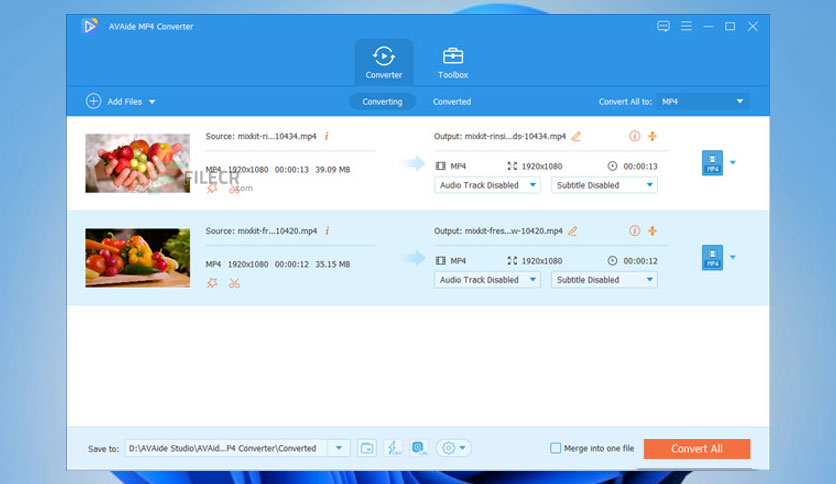 avaide-mp4-converter-free-download-03